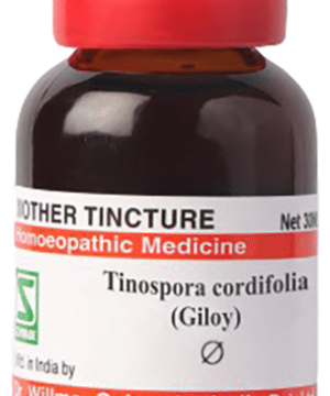 Dr Willmar Schwabe Germany Tinospora Cordifolia Giloy Mother Tincture Q