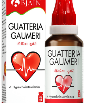 Bjain Guatteria Gaumeri Drop