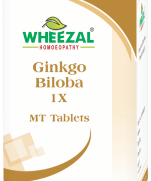 Wheezal Ginkgo Biloba 1X MT Tablet