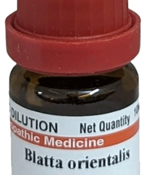 Dr Willmar Schwabe India Blatta Orientalis  Dilution 30 CH
