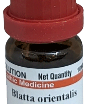 Dr Willmar Schwabe India Blatta Orientalis  Dilution 200 CH