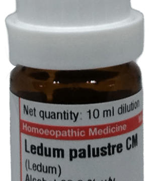 Dr Willmar Schwabe Germany Ledum Palustre Dilution CM