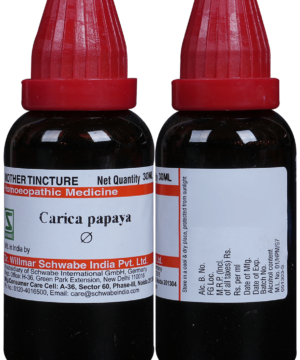 Dr Willmar Schwabe India Carica Papaya Mother Tincture Q