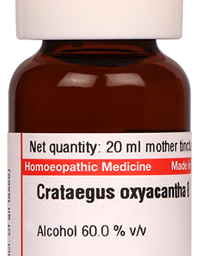 Dr Willmar Schwabe Germany Crataegus Oxyacantha Mother Tincture Q