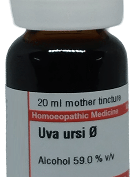 Dr Willmar Schwabe Germany Uva Ursi  Mother Tincture Q