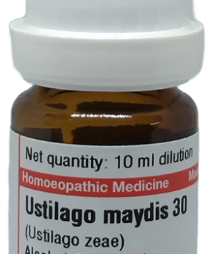 Dr Willmar Schwabe Germany Ustilago Maydis (Ustilago Zeae) Dilution 30