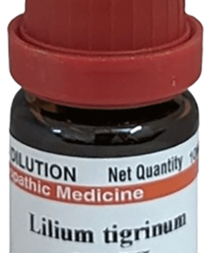 Dr Willmar Schwabe India Lilium Tigrinum Dilution 200 CH