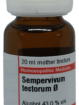Dr Willmar Schwabe Germany Sempervivum Tectorum Mother Tincture Q