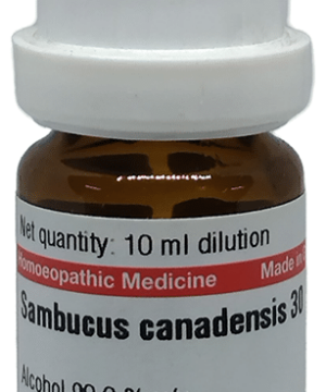 Dr Willmar Schwabe Germany Sambucus Canadensis Dilution 30