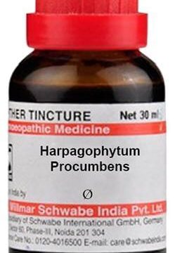 Dr Willmar Schwabe India Harpagophytum Procumbens Mother Tincture Q