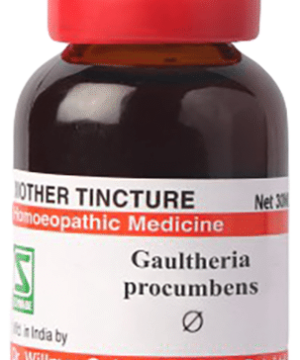 Dr Willmar Schwabe Germany Gaultheria Procumbens Mother Tincture Q