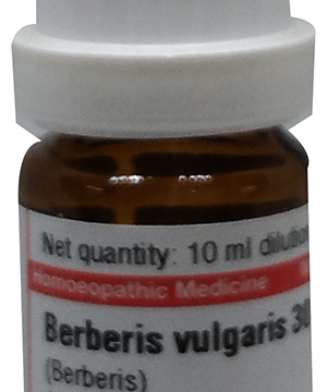 Dr Willmar Schwabe Germany Berberis Vulgaris (Berberis) Dilution 30