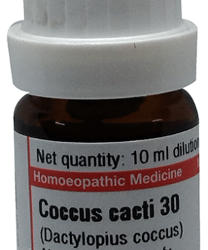 Dr Willmar Schwabe Germany Coccus Cacti Dilution 30