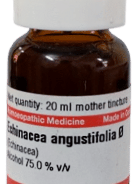 Dr Willmar Schwabe Germany Epigaea Repens Mother Tincture Q