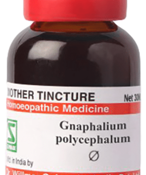 Dr Willmar Schwabe Germany Gnaphalium Polycephalum Mother Tincture Q