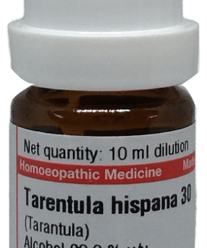 Dr Willmar Schwabe Germany Tarentula Hispana Dilution 30