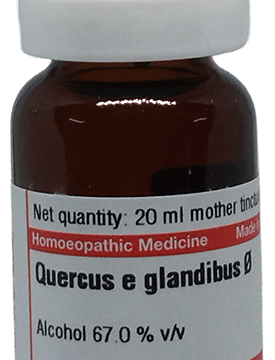 Dr Willmar Schwabe Germany Quercus E Glandibus Mother Tincture Q