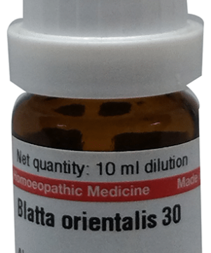 Dr Willmar Schwabe Germany Blatta Orientalis Dilution 30