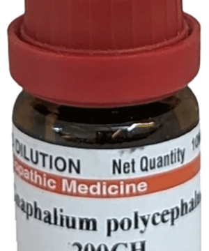 Dr Willmar Schwabe India Gnaphalium Polycephalum Dilution 200 CH
