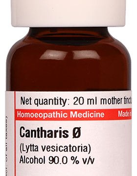 Dr Willmar Schwabe Germany Cantharis Mother Tincture Q