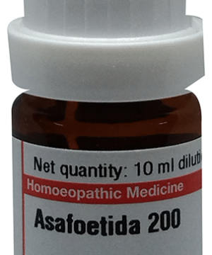 Dr Willmar Schwabe Germany Asafoetida Dilution 200