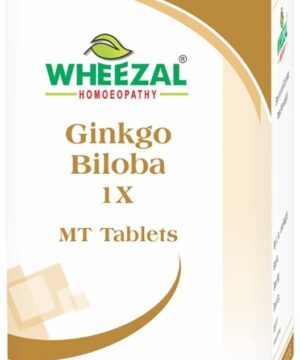 Wheezal Ginkgo Biloba 1X MT Tablet