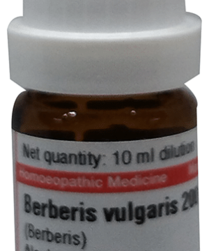 Dr Willmar Schwabe Germany Berberis Vulgaris (Berberis) Dilution 200