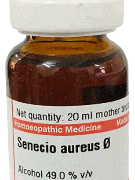 Dr Willmar Schwabe Germany Senecio Aureus Mother Tincture
