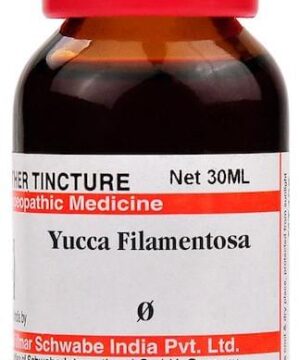 Dr Willmar Schwabe India Yucca Filamentosa Mother Tincture Q