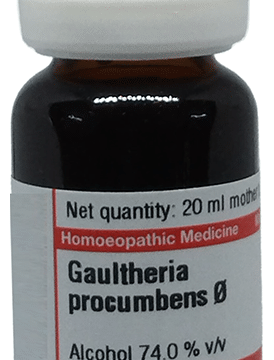 Dr Willmar Schwabe Germany Gaultheria Procumbens Mother Tincture Q