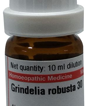 Dr Willmar Schwabe Germany Grindelia Robusta Dilution 30