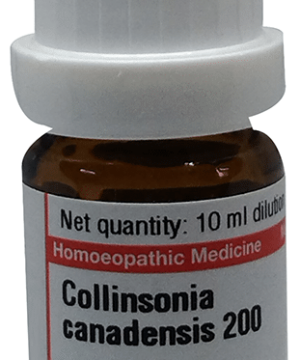 Dr Willmar Schwabe Germany Collinsonia Canadensis Dilution 200