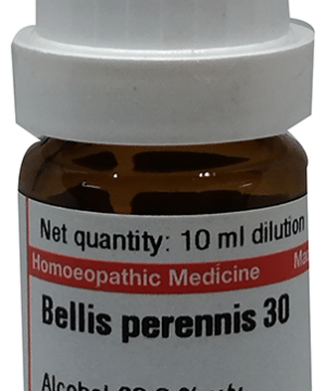 Dr Willmar Schwabe Germany Bellis Perennis Dilution 30