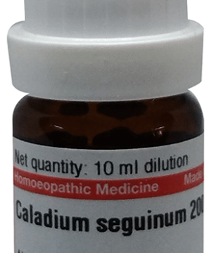 Dr Willmar Schwabe Germany Caladium Seguinum Dilution 200