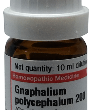 Dr Willmar Schwabe Germany Gnaphalium Polycephalum Dilution 200