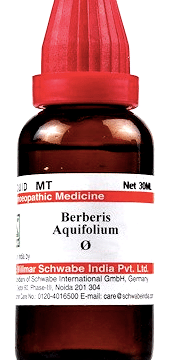 Dr Willmar Schwabe India Berberis Aquifolium Mother Tincture Q