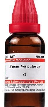 Dr Willmar Schwabe India Fucus Vesiculosus Mother Tincture Q
