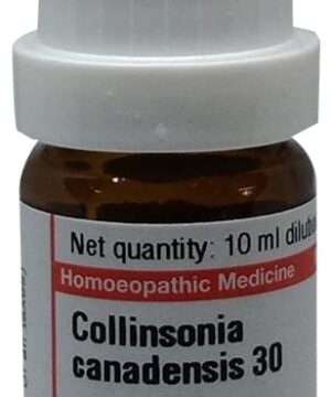 Dr Willmar Schwabe Germany Collinsonia Canadensis Dilution 30