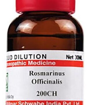 Dr Willmar Schwabe India Rosmarinus Officinalis Dilution 200 CH