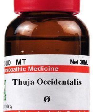 Dr Willmar Schwabe India Thuja Occidentalis Mother Tincture Q