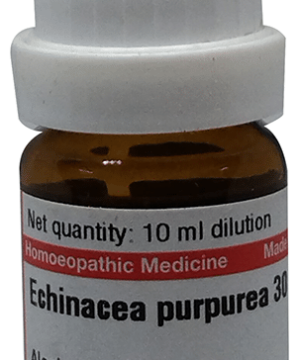 Dr Willmar Schwabe Germany Echinacea Purpurea Dilution 30