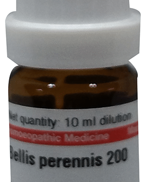 Dr Willmar Schwabe Germany Bellis Perennis Dilution 200