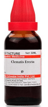 Dr Willmar Schwabe India Clematis Erecta Mother Tincture Q