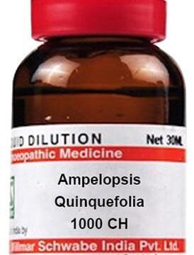 Dr Willmar Schwabe India Ampelopsis Quinquefolia Dilution 1000 CH