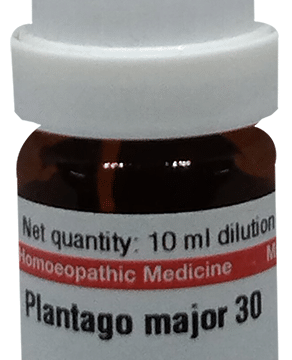 Dr Willmar Schwabe Germany Plantago Major Dilution 30