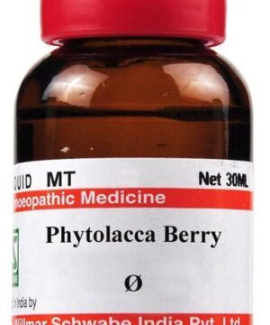 Dr Willmar Schwabe India Phytolacca Berry Mother Tincture Q