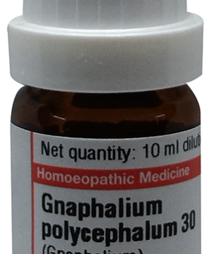 Dr Willmar Schwabe Germany Gnaphalium Polycephalum Dilution 30