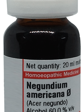 Dr Willmar Schwabe Germany Negundium Americana Mother Tincture Q
