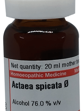 Dr Willmar Schwabe Germany Actaea Spicata Mother Tincture Q