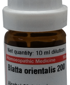 Dr Willmar Schwabe Germany Blatta Orientalis Dilution 200